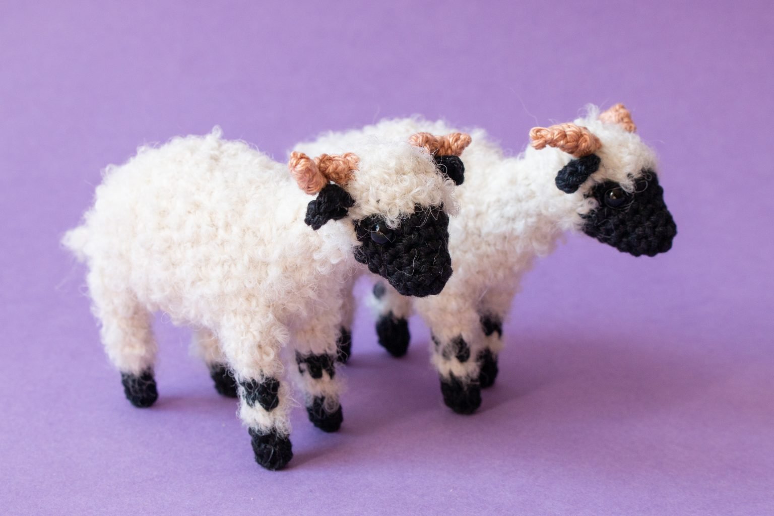 Black-Nose-Sheep-Crochet-Pattern-9-1536x1024