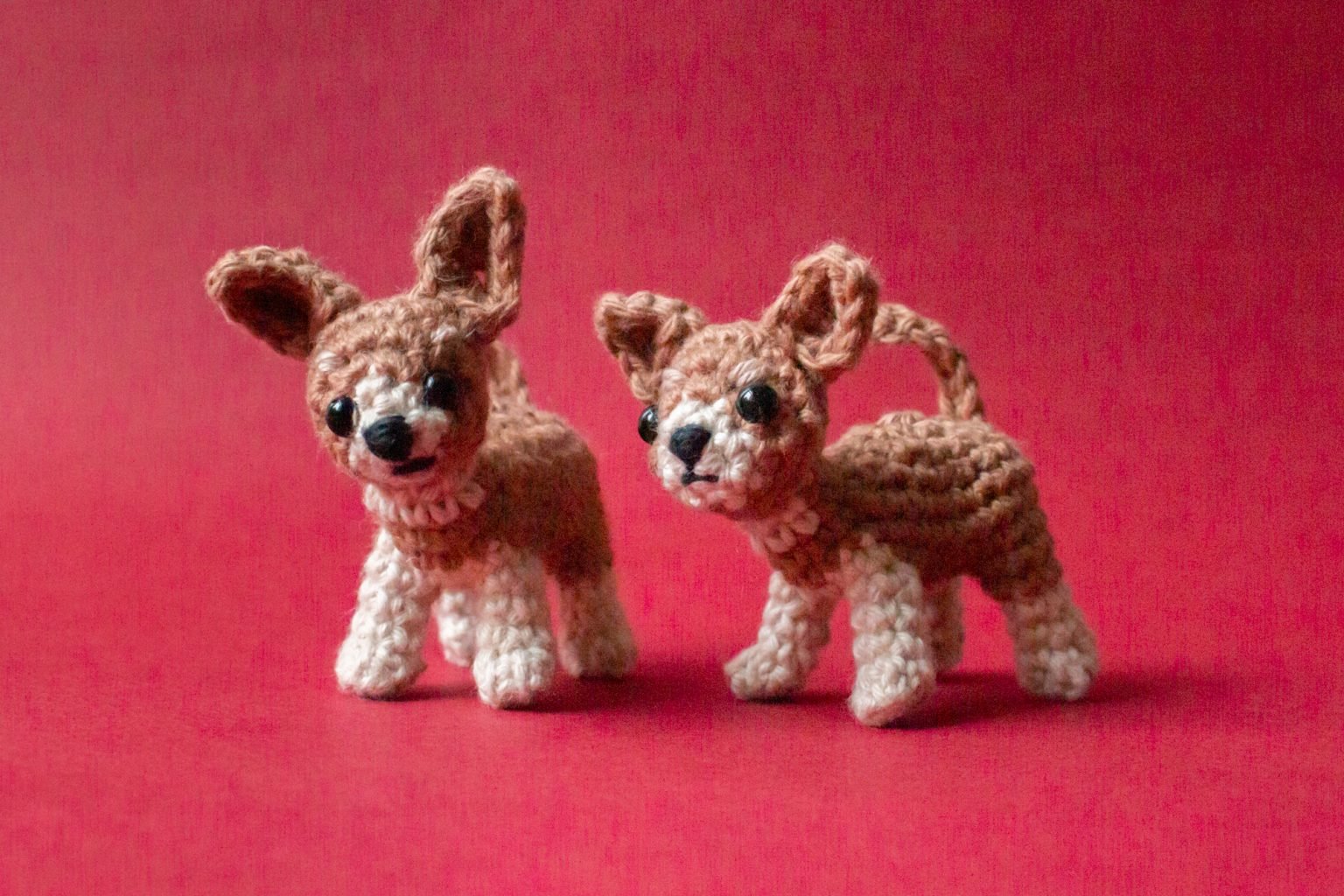 Chihuahua-free-crochet-pattern-2-1536x1024