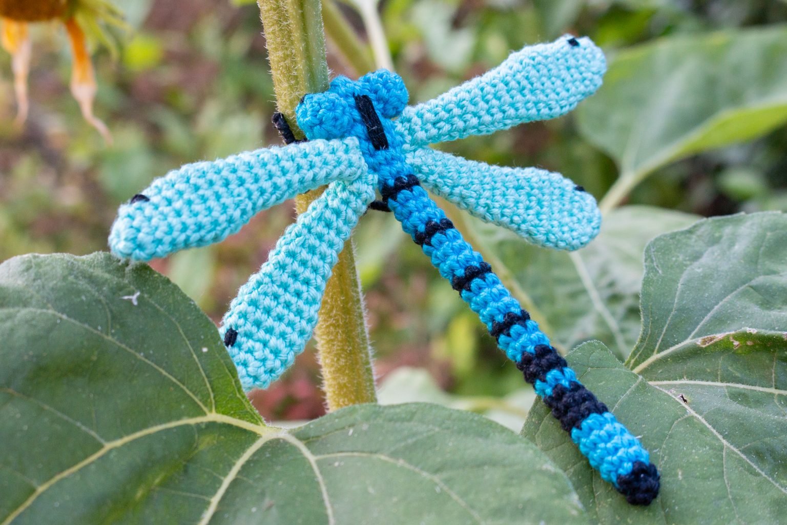 Damselfly-amigurumi-1536x1024